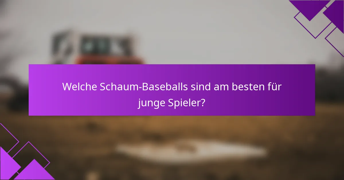 Welche Schaum-Baseballs sind am besten für junge Spieler?